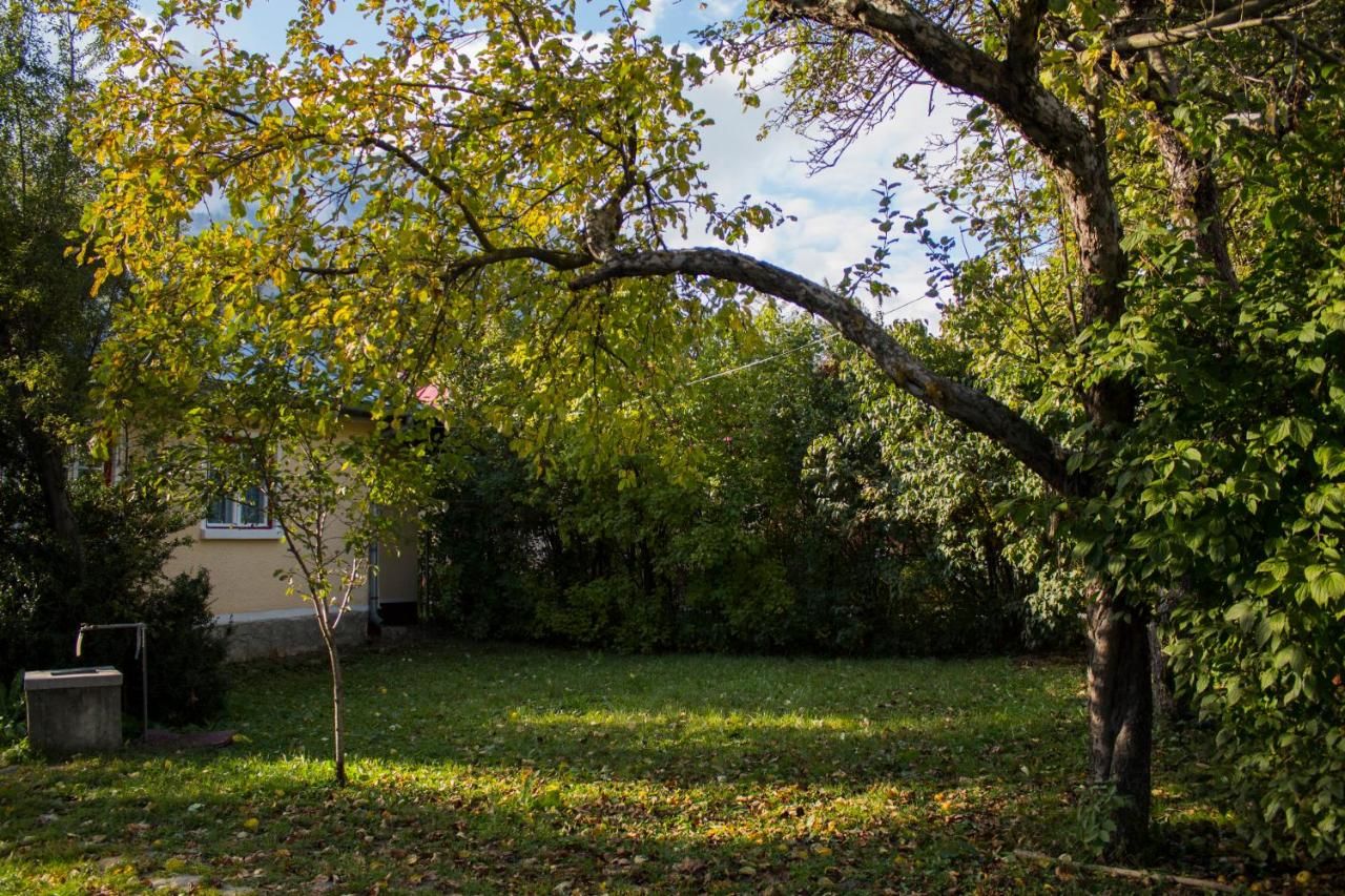 Дома для отпуска Villa Ana Буштени-7