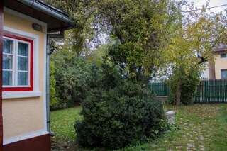 Дома для отпуска Villa Ana Буштени Дом с 2 спальнями-25