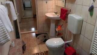 Дома для отпуска Villa Ana Буштени Дом с 2 спальнями-35