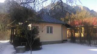 Дома для отпуска Villa Ana Буштени Дом с 2 спальнями-42