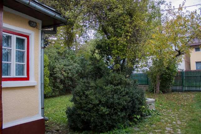 Дома для отпуска Villa Ana Буштени-27