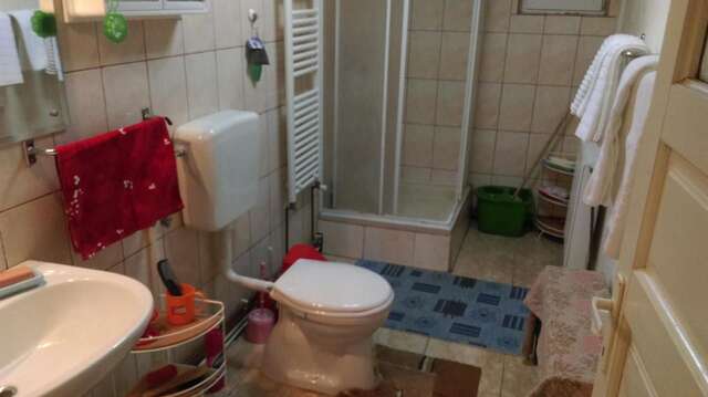 Дома для отпуска Villa Ana Буштени-35