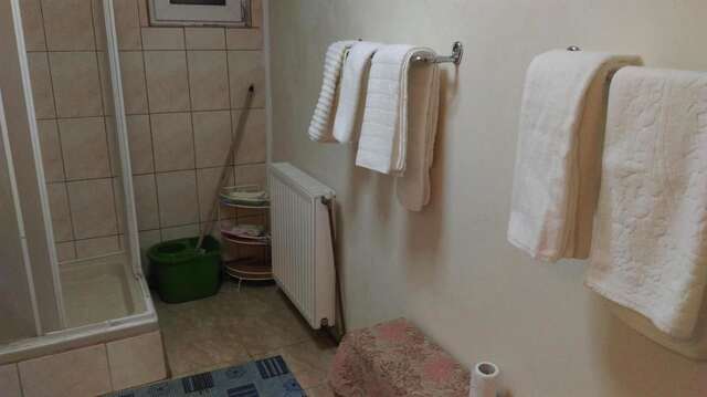 Дома для отпуска Villa Ana Буштени-36
