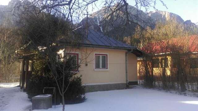 Дома для отпуска Villa Ana Буштени-44