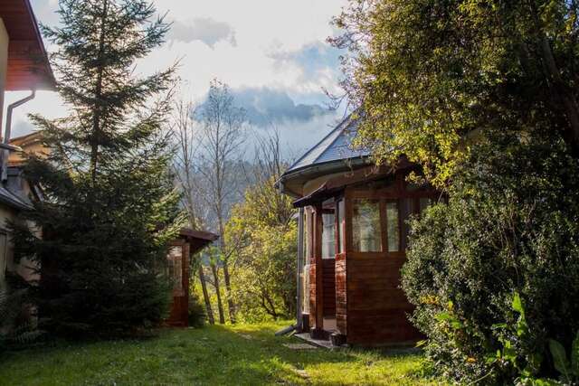 Дома для отпуска Villa Ana Буштени-63