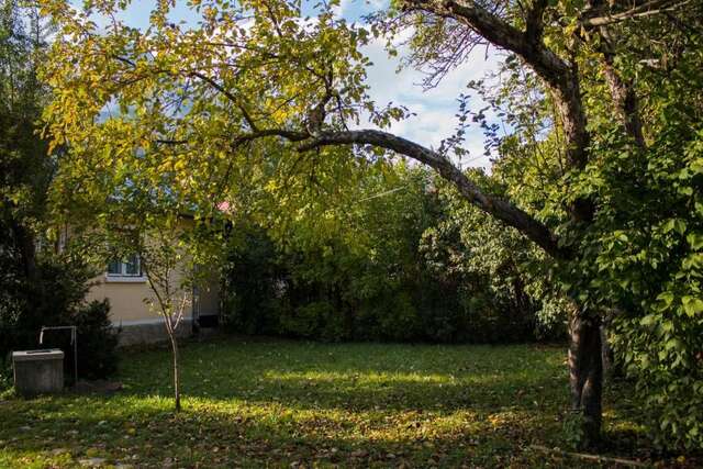 Дома для отпуска Villa Ana Буштени-67