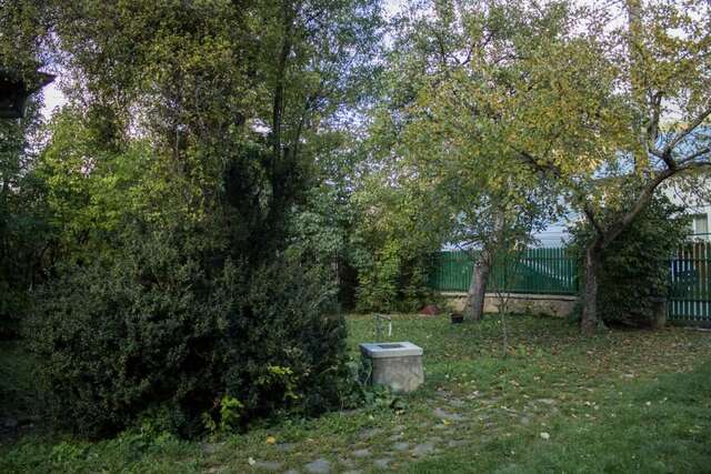 Дома для отпуска Villa Ana Буштени-69